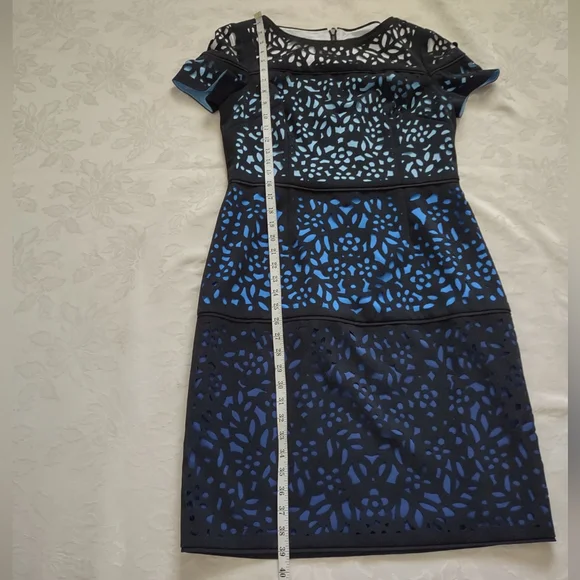 Shani ombre laser cut lace sheath luxury dress short sleeves wearable art